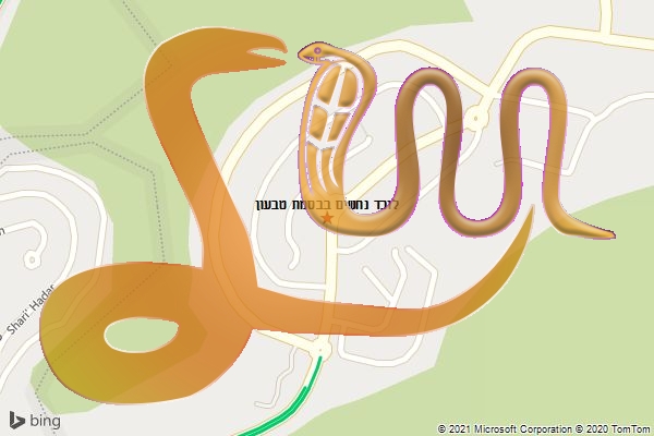 לוכד נחשים בבסמת טבעון