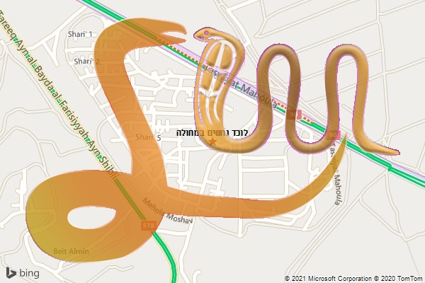 לוכד נחשים במחולה