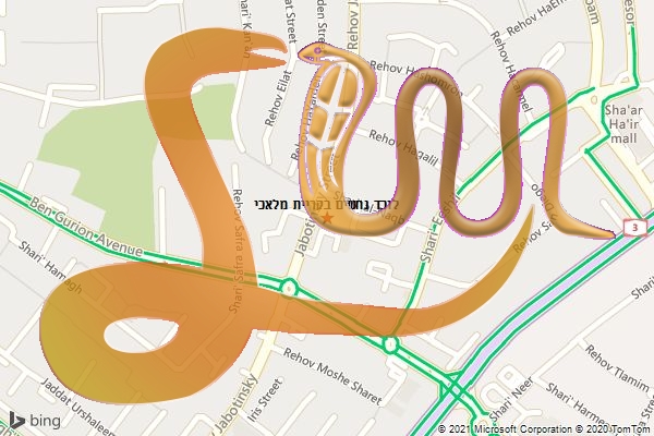 לוכד נחשים בקריית מלאכי