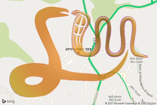 לוכד נחשים בידידה