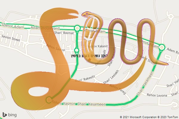 לוכד נחשים בגבע בנימין