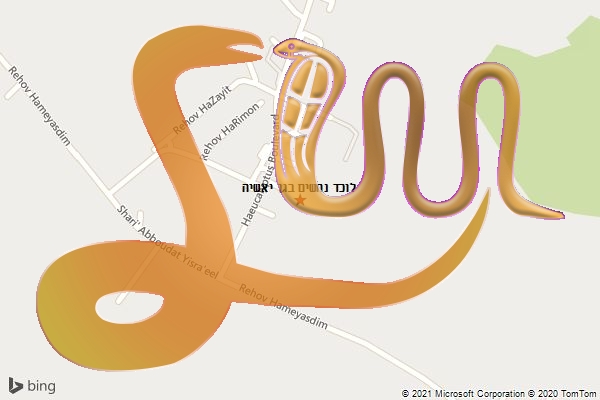 לוכד נחשים בגן יאשיה