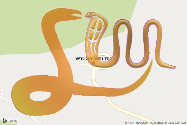 לוכד נחשים באל עריאן