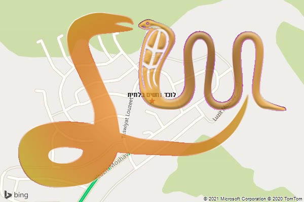 לוכד נחשים בלוזית