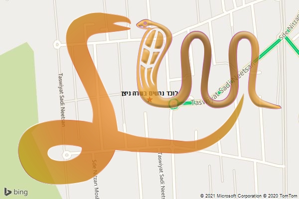 לוכד נחשים בשדה ניצן