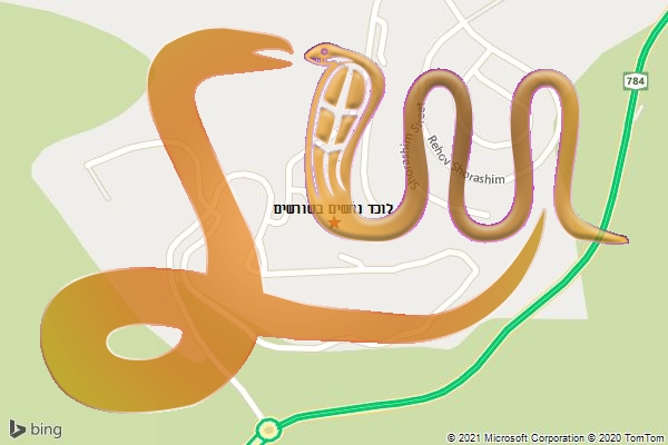 לוכד נחשים בשורשים