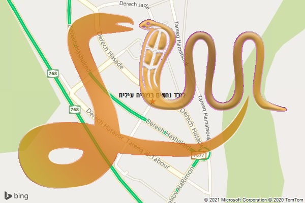 לוכד נחשים בפוריה עילית