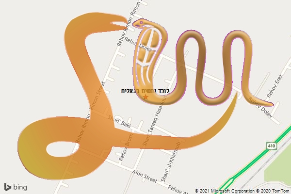 לוכד נחשים בגאליה