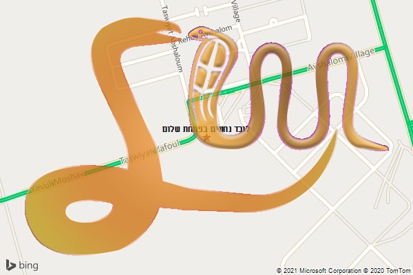 לוכד נחשים בפתחת שלום