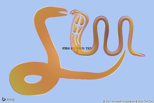 לוכד נחשים בים המלח