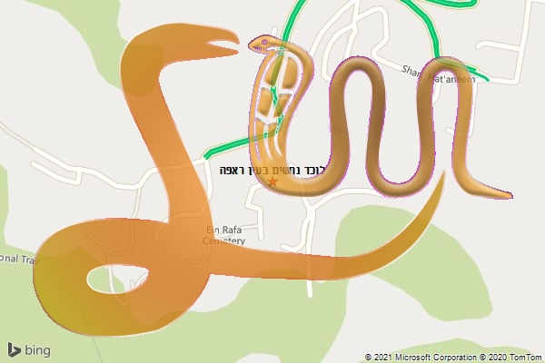 לוכד נחשים בעין ראפה