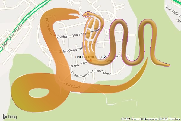 לוכד נחשים בכרמים