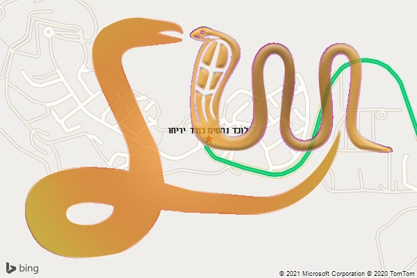 לוכד נחשים בורד יריחו