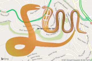 לכידת נחש בגבעת זאב - לוכד נחשים בגבעת זאב