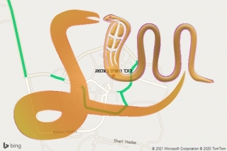 לכידת נחש באלמוג - לוכד נחשים באלמוג