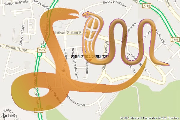 לוכד נחשים במגדל העמק