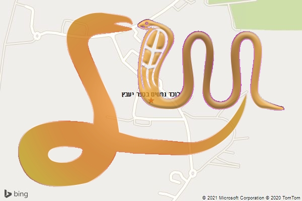 לוכד נחשים בכפר יעבץ