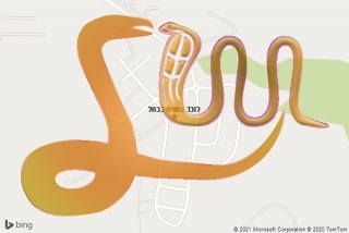 לכידת נחש בכחל - לוכד נחשים בכחל
