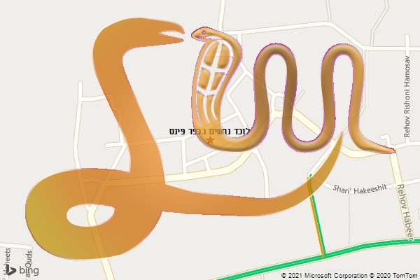 לוכד נחשים בכפר פינס