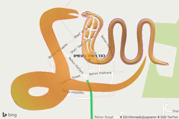 לוכד נחשים בחרוצים