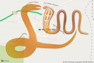 לכידת נחש בצור נתן - לוכד נחשים בצור נתן