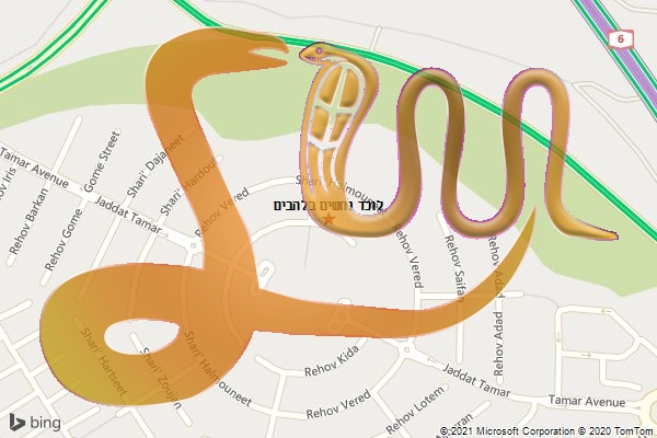 לוכד נחשים בלהבים