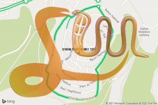 לכידת נחש בקרני שומרון - לוכד נחשים בקרני שומרון