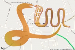 לכידת נחש בכפר קרע - לוכד נחשים בכפר קרע