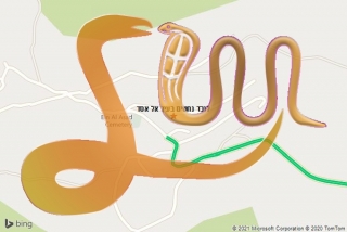לכידת נחש בעין אל אסד - לוכד נחשים בעין אל אסד