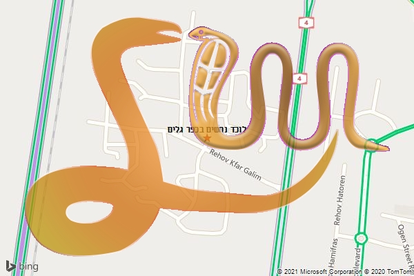 לוכד נחשים בכפר גלים