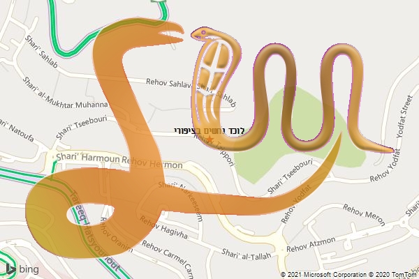 לוכד נחשים בציפורי