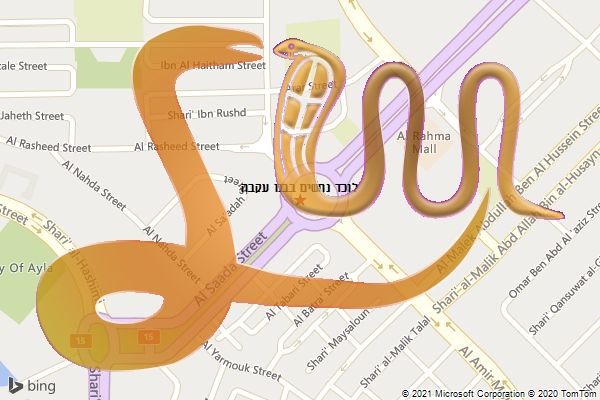 לוכד נחשים בבנו עקבה