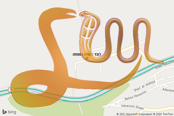 לוכד נחשים במצפה
