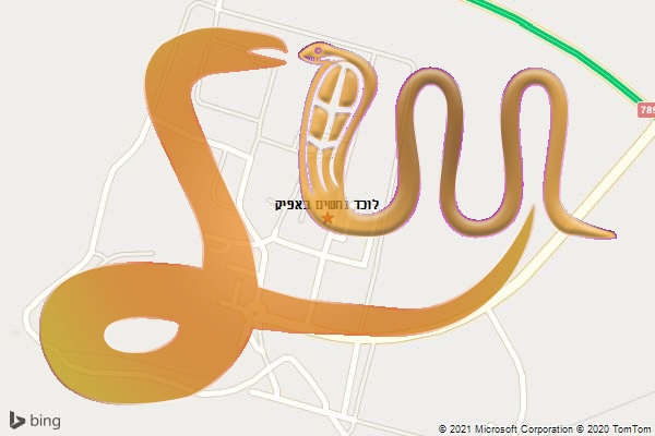 לוכד נחשים באפיק