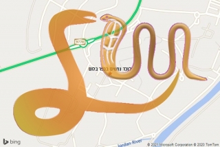 לכידת נחש בכפר בלום - לוכד נחשים בכפר בלום