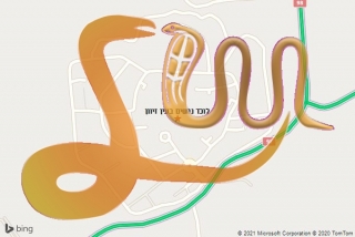 לכידת נחש בעין זיוון - לוכד נחשים בעין זיוון