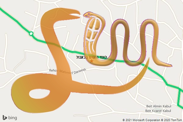 לוכד נחשים בכאבול