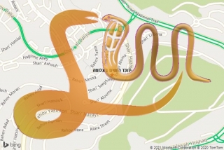 לכידת נחש באלומה - לוכד נחשים באלומה