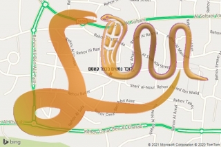 לכידת נחש בכפר קאסם - לוכד נחשים בכפר קאסם