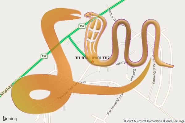 לוכד נחשים בשדה דוד