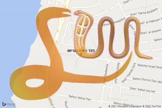 לכידת נחש בקדימה - לוכד נחשים בקדימה