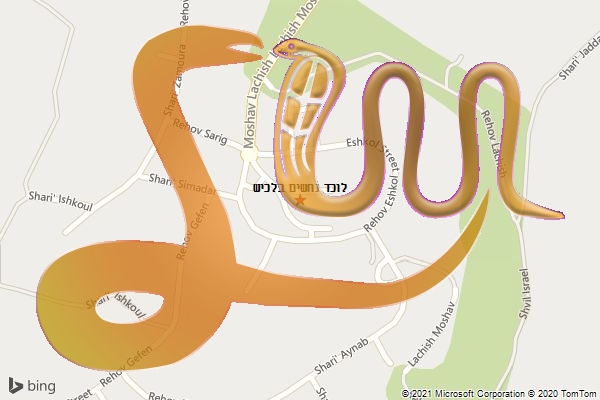 לוכד נחשים בלכיש