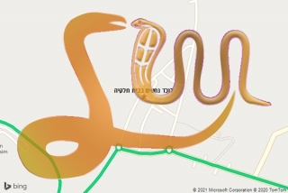 לכידת נחש בבית חלקיה - לוכד נחשים בבית חלקיה