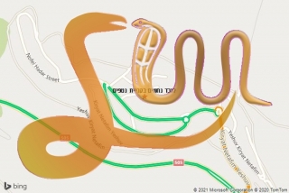 לכידת נחש בקריית נטפים - לוכד נחשים בקריית נטפים
