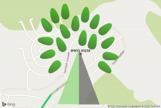 מדביר בלוזית - הדברה בלוזית