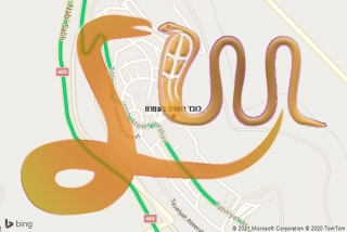 לכידת נחש בעטרת - לוכד נחשים בעטרת
