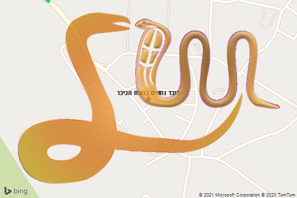 לוכד נחשים בנאות הכיכר