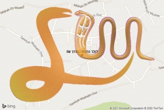 לכידת נחש במדרך עוז - לוכד נחשים במדרך עוז