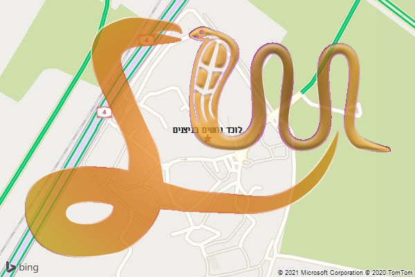 לוכד נחשים בניצנים