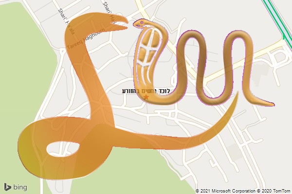 לוכד נחשים בהזורע